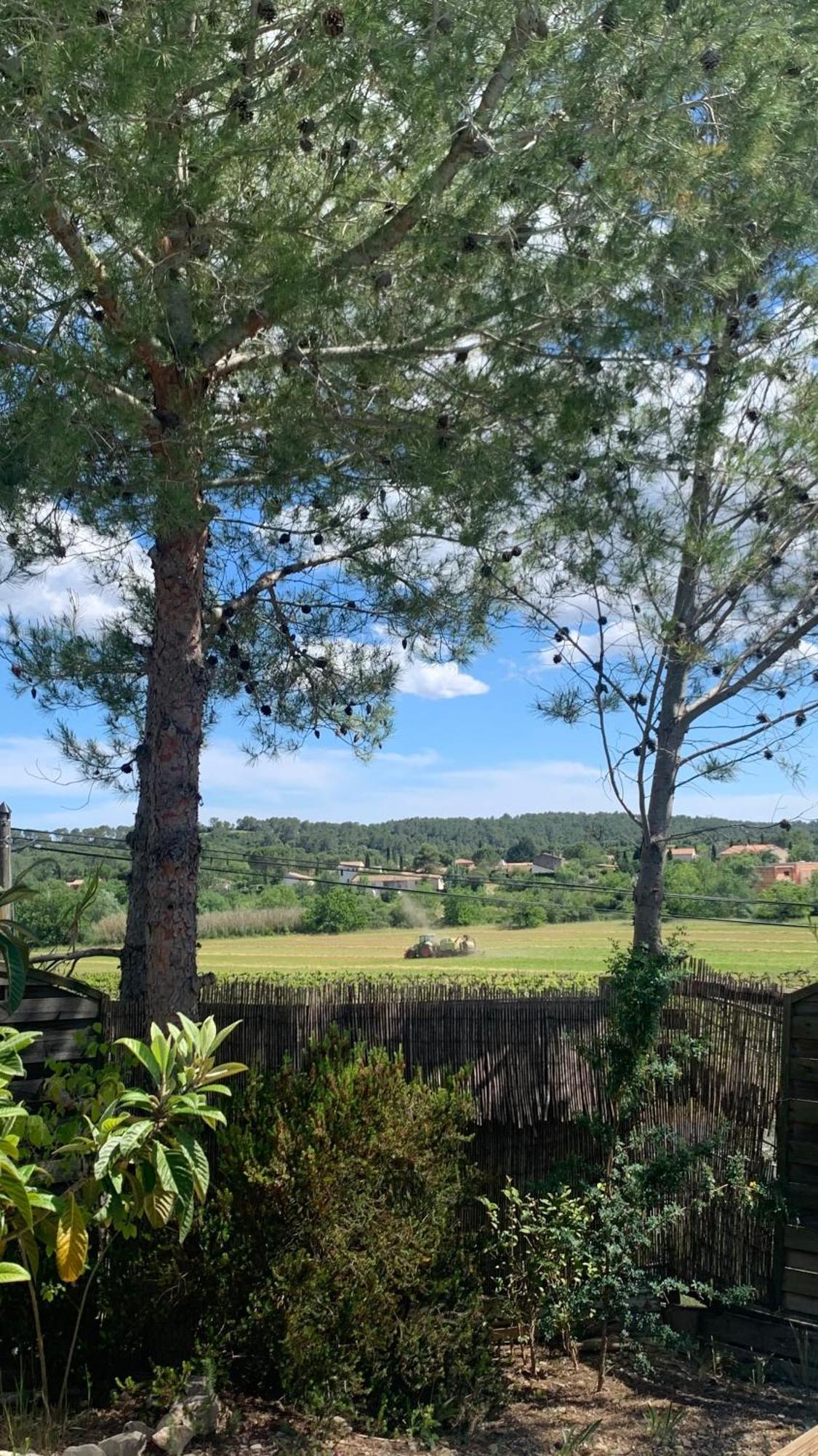 Villa En Bordure De Colline*Piscine*Clim*Netflix Les Matelles Dış mekan fotoğraf